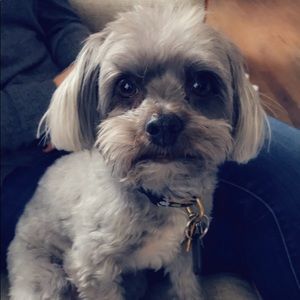 Meet your Posher, Kelly